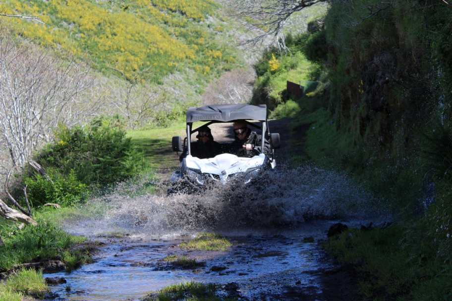Madeira Buggy Tours – What to Expect - Madeira Buggy Tour Madeira Buggy Tours – What to Expect - Madeira Buggy Tour