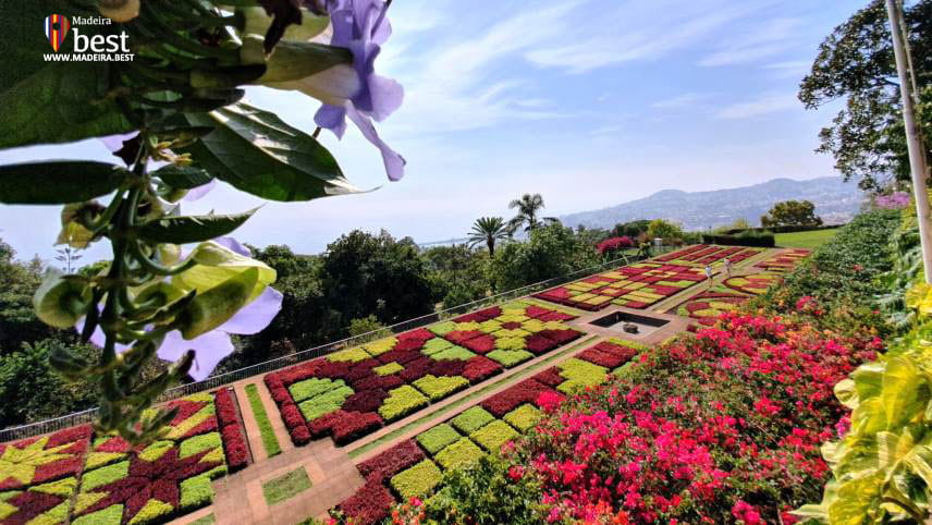 Madeira Island things to do Gardens