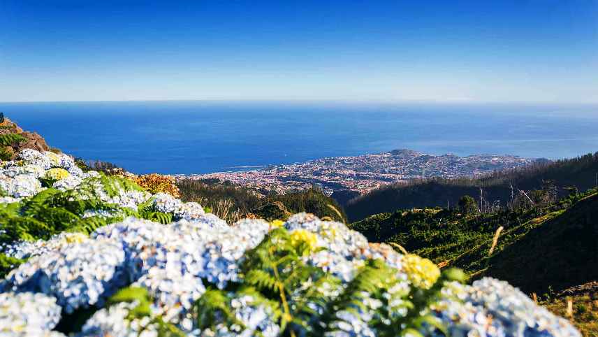 Monte Madeira 10 Must Visit Places