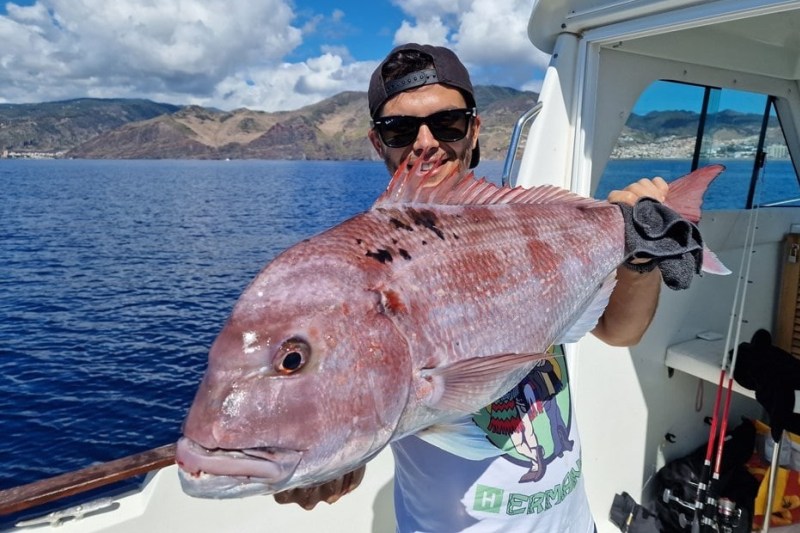 private_madeira_bottom_fishing_trips
