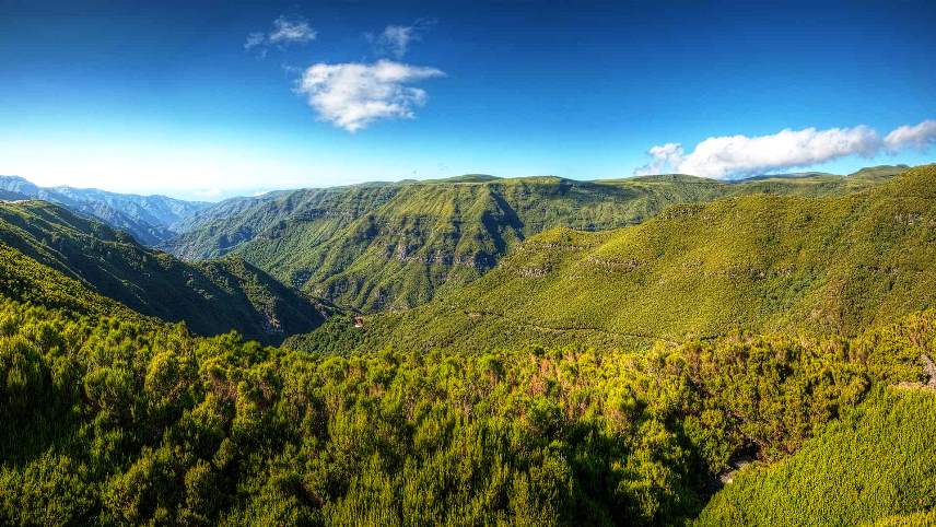 Rabaçal Madeira 10 Must Visit Places