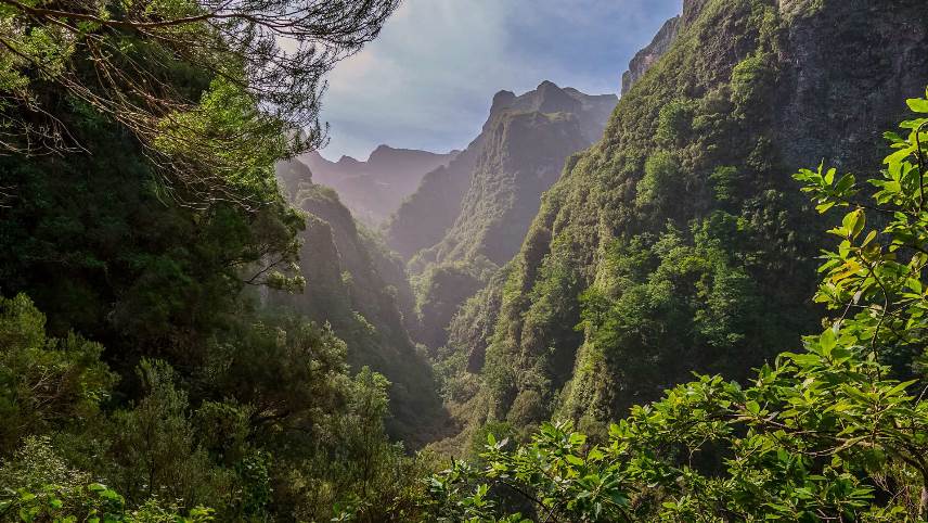 Retire in Paradise The Benefits of Living in Madeira Island (1)